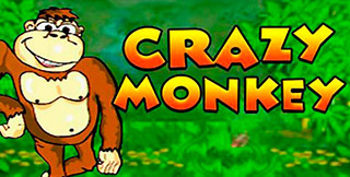 crazy monkey